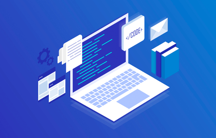 DBMS & Web Development